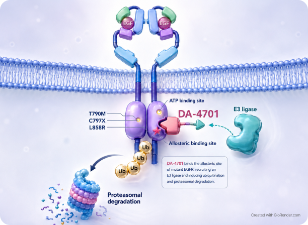 MoA (Mechanism of Action)