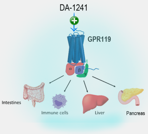 Mechanism of Action