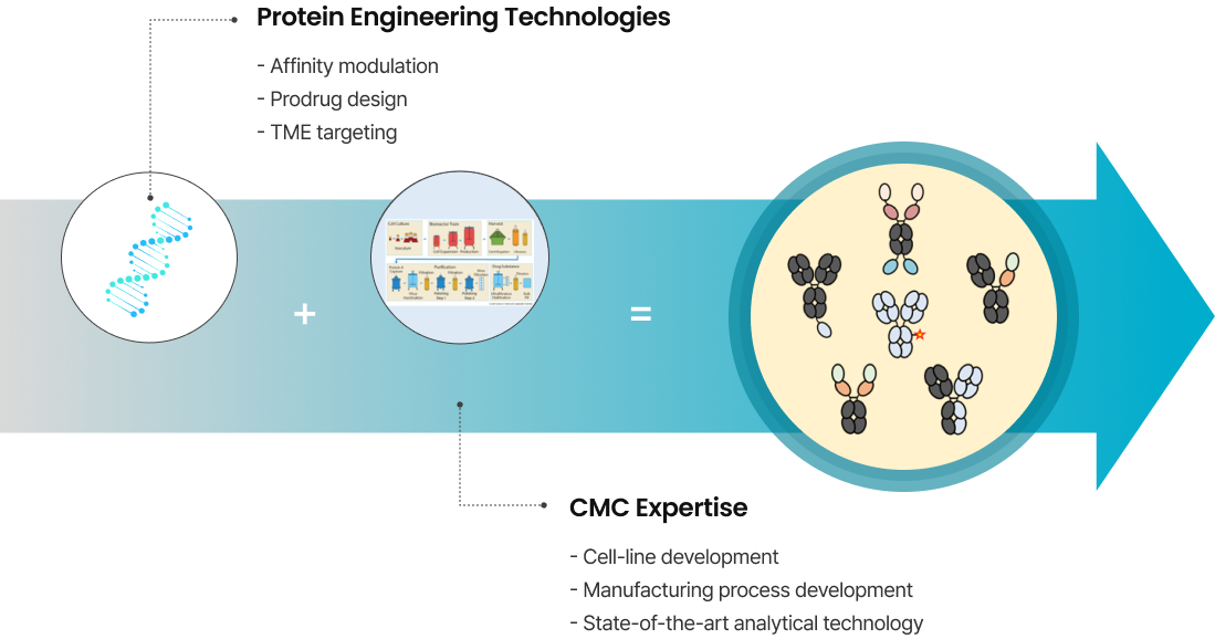 Antibody-based therapeutics