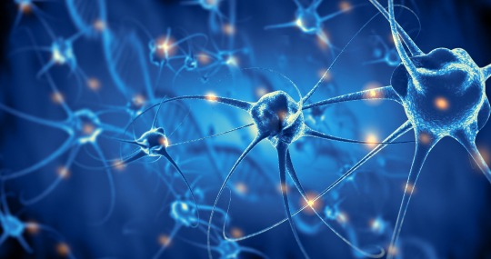 Neurodegenerative Disease(NDD)